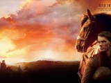 War Horse