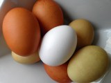 Let nature color your Easter&nbsp;eggs