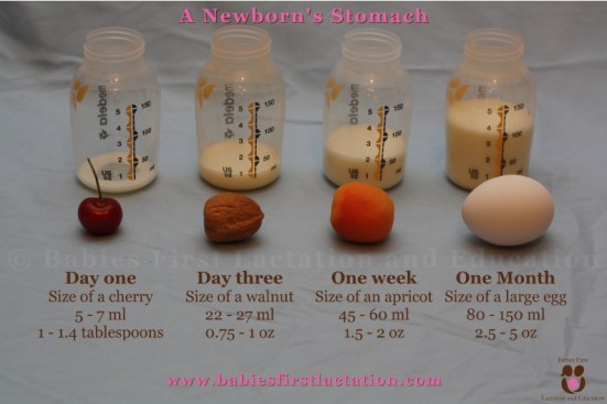 size-of-a-newborns-stomach-v2-online